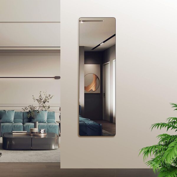 Black 47 x 14IN Door mirror.(W2203P182244)