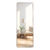 The 4th generation floor standing full-length mirror. wall mirror, bathroom makeup mirror, bedroom foyer, clothing store, wall mounted.    65 "* 23.2"