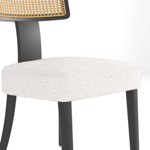 101ae4ada98843a2899688760f327841_fee0a8581f8d6ba2504008a8d334f4dc Mid Century Modern Dining Chairs Set of 2,Solid Wood and Rattan Net Back,Dining Room Chairs Accent Side Chairs for Dining Room,Black Frame and Beige Set Coushion