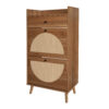 Rattan, Allen 2 Door 1 Drawer Cabinet, Shoe Rack, Double Layer, Suitable for Entrance