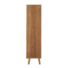 Rattan, Allen 2 Door 1 Drawer Cabinet, Shoe Rack, Double Layer, Suitable for Entrance