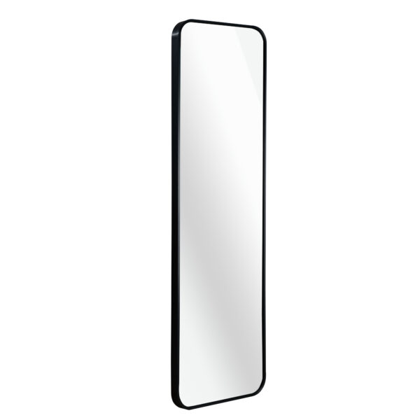 Black 47 x 14IN Door mirror.(W2203P182244)
