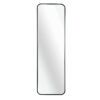 Black 47 x 14IN Door mirror.(W2203P182244)