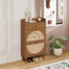 Rattan, Allen 2 Door 1 Drawer Cabinet, Shoe Rack, Double Layer, Suitable for Entrance