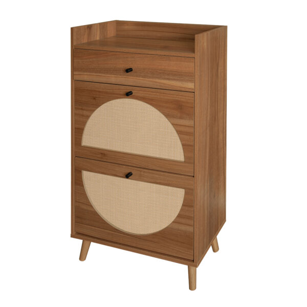 Rattan, Allen 2 Door 1 Drawer Cabinet, Shoe Rack, Double Layer, Suitable for Entrance