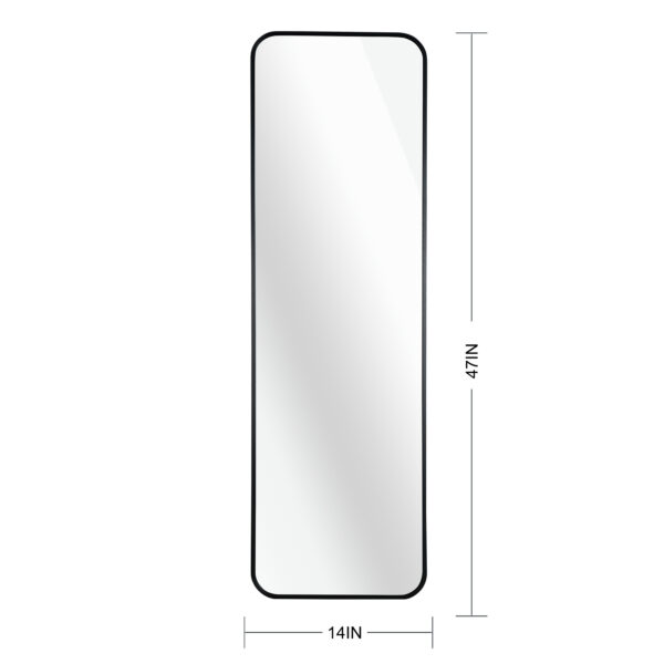 Black 47 x 14IN Door mirror.(W2203P182244)