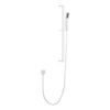 Handheld Shower with 28-Inch Slide Bar and 59-Inch Hose