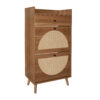 Rattan, Allen 2 Door 1 Drawer Cabinet, Shoe Rack, Double Layer, Suitable for Entrance