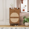 Rattan, Allen 2 Door 1 Drawer Cabinet, Shoe Rack, Double Layer, Suitable for Entrance