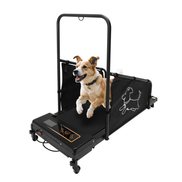 Dog Treadmill for Medium Dogs - Dog Pacer Treadmill for Healthy & Fit Pets - Dog Treadmill Run Walk