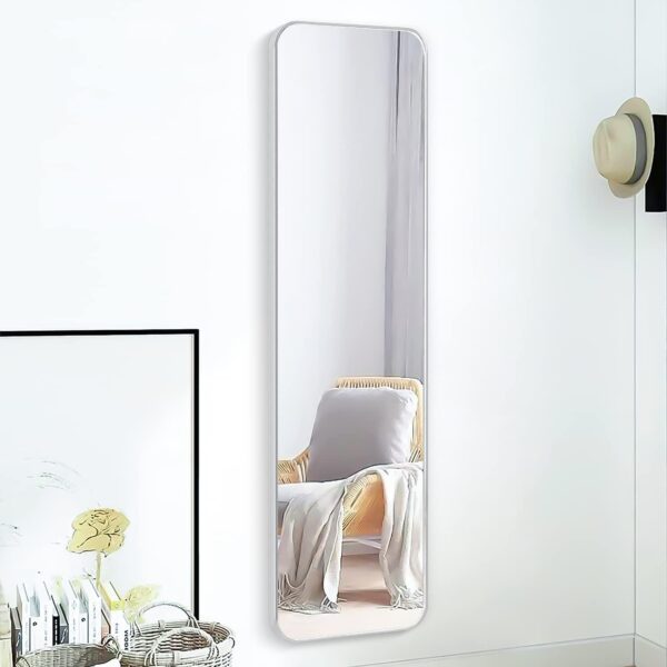 Silver 47 x 14IN Door mirror.(W2203P182160)