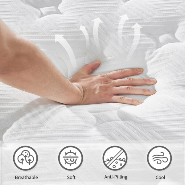 12 Inch  Full Size Breathable Cool Oeko-Tex100 Cover Memory Foam Individual Pocket Spring Hybrid Mattress