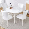 Table and chair set, MDF desktop, white metal table legs, stable and beautiful, suitable for most styles of home. Modern simple dining table, comfortable seating.