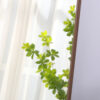 The 4th generation floor standing full-length mirror. wall mirror, bathroom makeup mirror, bedroom foyer. Elegant Flower Pear Color Full-Length Mirror - Aluminum Alloy Frame Design. 60*16.5"