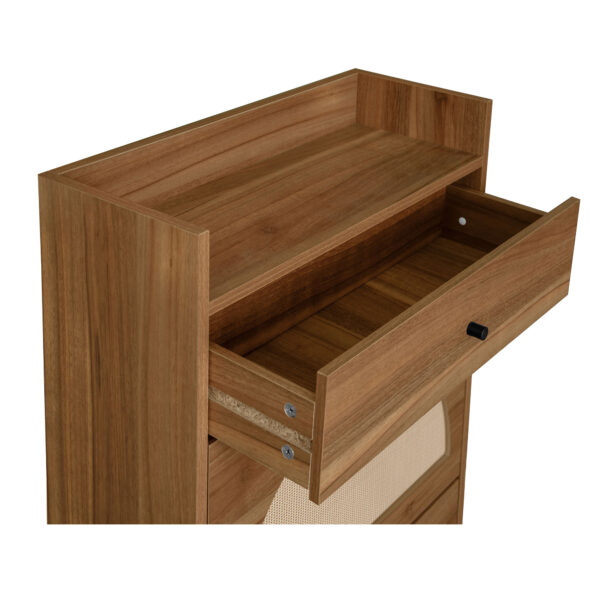 Rattan, Allen 2 Door 1 Drawer Cabinet, Shoe Rack, Double Layer, Suitable for Entrance