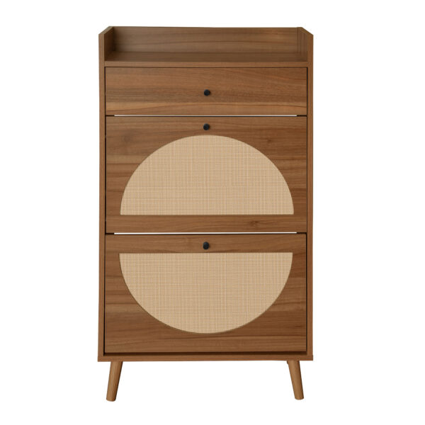 Rattan, Allen 2 Door 1 Drawer Cabinet, Shoe Rack, Double Layer, Suitable for Entrance