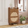 Rattan, Allen 2 Door 1 Drawer Cabinet, Shoe Rack, Double Layer, Suitable for Entrance