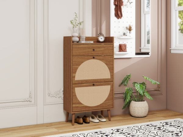 Rattan, Allen 2 Door 1 Drawer Cabinet, Shoe Rack, Double Layer, Suitable for Entrance