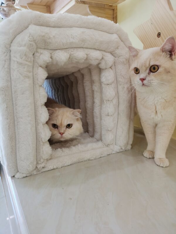 27a27ddef6a04bd4bb89a965a4f1fa7d_f1ad69457ff26e76a4c12da5fcd00da0 Ottoman Storage Bench Pet Supplies Corduroy Bench Cat's nest to hide For the Living Room, Entryway and Bedroom