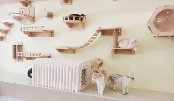 44201bd0d2a44ce2bf5525a8ee26b9de_10bf60fb826bd775e05bdb3a3ade63e0 Ottoman Storage Bench Pet Supplies Corduroy Bench Cat's nest to hide For the Living Room, Entryway and Bedroom