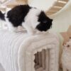 Ottoman Storage Bench Pet Supplies  Corduroy Bench Cat's nest to hide  For the Living Room, Entryway and Bedroom