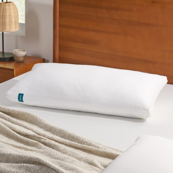 6a58efb6bc044e42868d0e332c648580_2d345a2bf7da305ae3f80b6eb8ec2b5d BED PILLOW