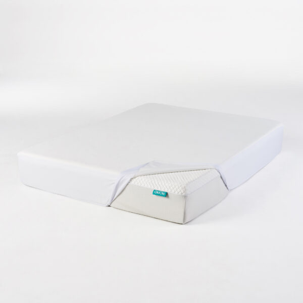 8787879fd002468c837027647eca1246_4ffd341dd9145cd7a8d74ee715ca40d312bb8f30 OkiOki mattress protector Queen