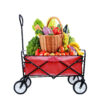 Folding Wagon Garden Shopping Beach Cart (Red)