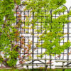 4 Pack Metal Garden Trellis 86.7" x 19.7" Rustproof Trellis for Climbing Plants Outdoor Flower Support Black