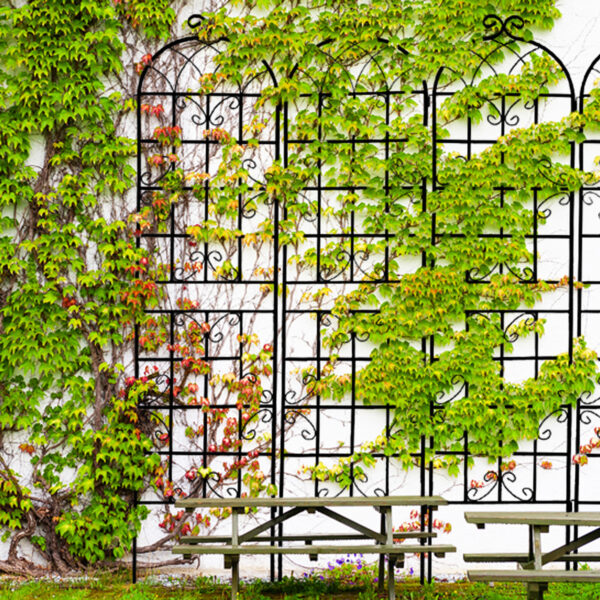 de39c386850d4c62b8b62d6887bafb6c_20230309_5a601f87c808592bdd3959f37f5850f5 4 Pack Metal Garden Trellis 86.7" x 19.7" Rustproof Trellis for Climbing Plants Outdoor Flower Support Black