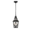 Outdoor Pendant Light Fixture, Modern Black Exterior Hanging Lantern Anti-Rust Metal Hanging Lights with Clear Glass Shade and Adjustable Chain for Porch Foyer Doorway Front Door (1 pack)