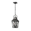 Black Outdoor Pendant Light 2-Light Outside Pendant Hanging Light Fixture Ceiling Mount with Clear Glass Industrial Hanging Cage Chandelier for Porch,Entryway,Doorway,Farmhouse (1 pack)